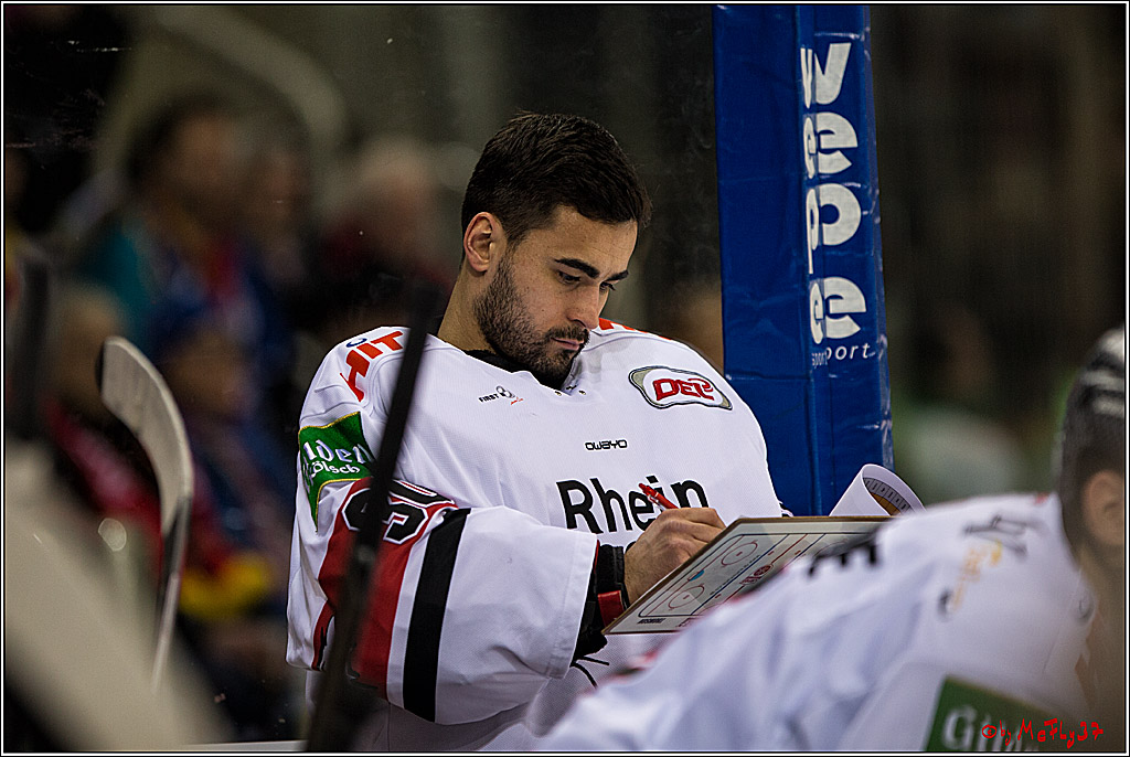 DEL, Koelner Haie - Duesseldorfer EGY, 22.01.2017